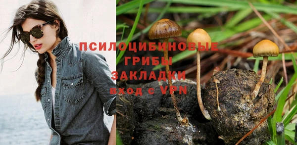 герыч Алзамай
