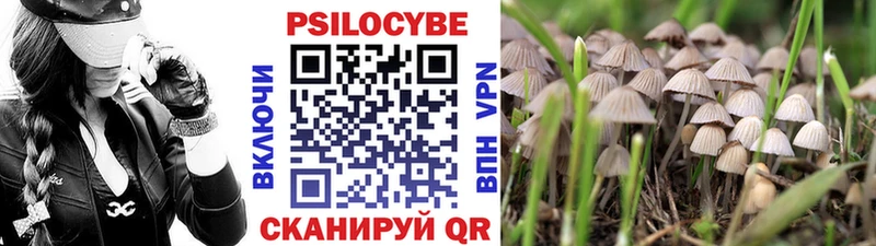 Псилоцибиновые грибы Magic Shrooms  кракен онион  shop Telegram  Чухлома 